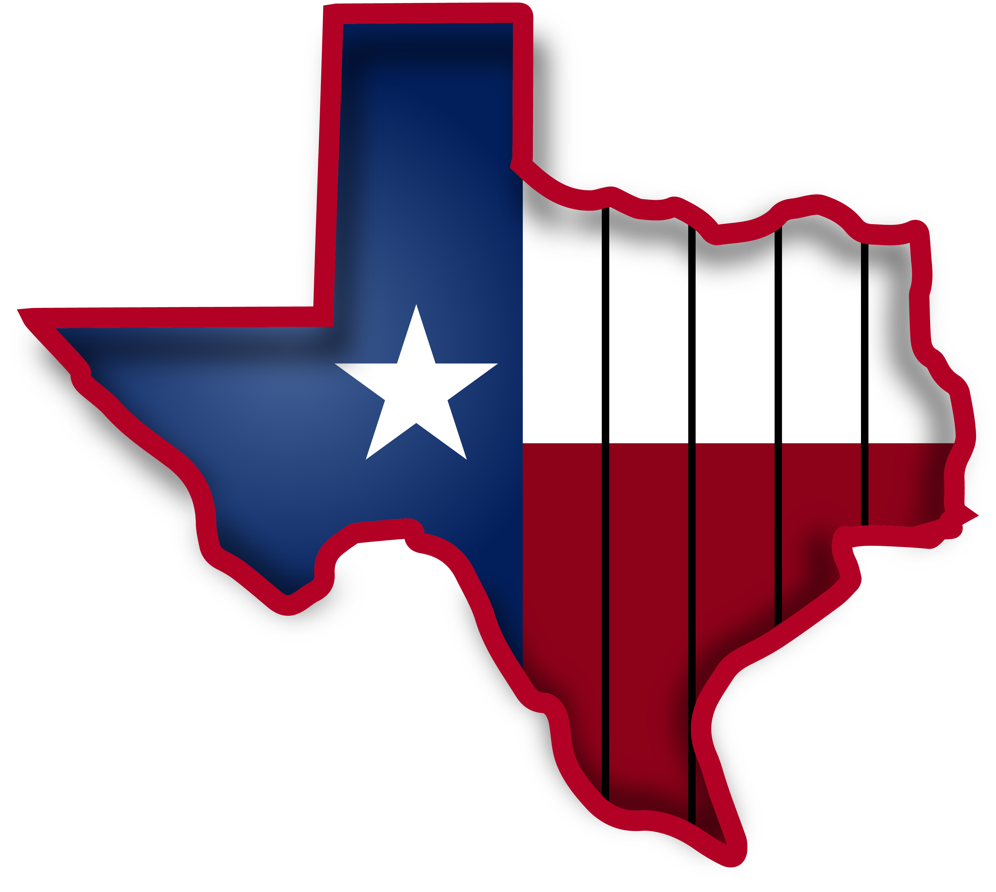 Lone Star Stain and Seal Logo